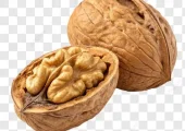 بهترین گردو؛ قبل از انتخاب این نکات را ببینید