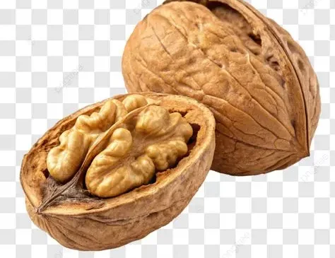 بهترین گردو؛ قبل از انتخاب این نکات را ببینید