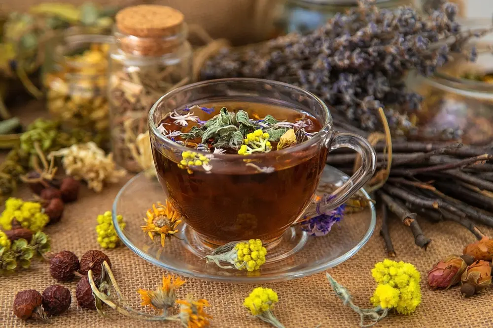 راهنمای انتخاب دمنوش گیاهی؛ نکات مهمی که باید بدانید