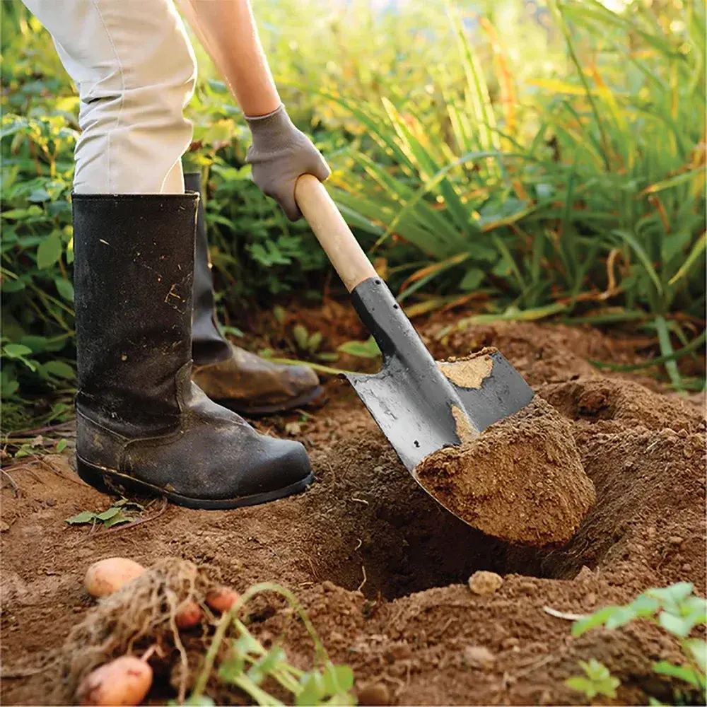 بیل باغبانی با دسته چوبی و لبه فلزی برای جابجایی خاک