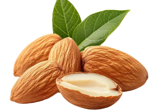 مقایسه گزینه‌های بادام؛ چطور بهترین انتخاب را داشته باشیم؟
