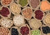 بهترین بانکه حبوبات؛ قبل از انتخاب این نکات را ببینید