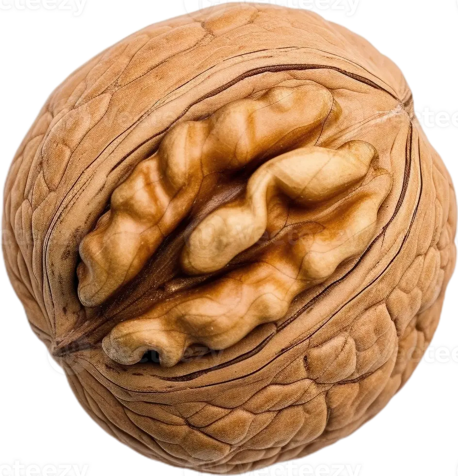 مغز گردو سالم و تازه